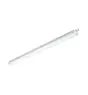 Philips LED Feuchtraumleuchte CoreLine WT120C Gen2 25/43W 3700/6000lm - 840  | 150cm