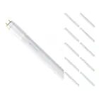 Mehrfachpackung 10x LED Röhre 60cm | 4000K 9W - HO