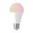 Eglo LED Poire E27 Dépolie 9W 806lm - 827  | Dimmable - Remplacement 60W