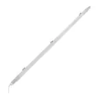 Ledvance Réglette LED Étanche Imperméable Eco 48W 5520lm - 840  | 150cm