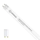 Ledvance Tube LED T8 Performance (EM/Mains) Standard Output 13.5W 1890lm - 830  | 120cm - Remplacement 36W