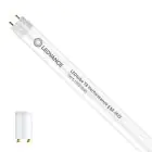 Ledvance Tube LED T8 Performance (EM/Direct 230V) High Output 7W 1100lm - 840  | 60cm - Remplacement 18W