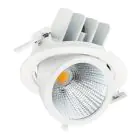 Philips Spot LED LuxSpace Accent Performance RS782B 31.5W 2700lm 36D - 930  | 167mm - Meilleur rendu de couleur