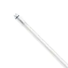 Philips MASTER LED T8 Conventional (EM), Mains (AC) High Output T8 7.6W 1090lm - 830 Blanc Chaud | 60cm - Remplacement 18W